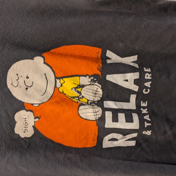 Peanuts Charlie Brown Tee Women's XL NWOT Soft Gray Relax Graphic T-shirt - Picture 3 of 4